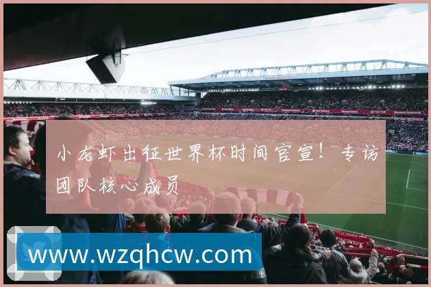 小龙虾出征世界杯时间官宣!专访团队核心成员